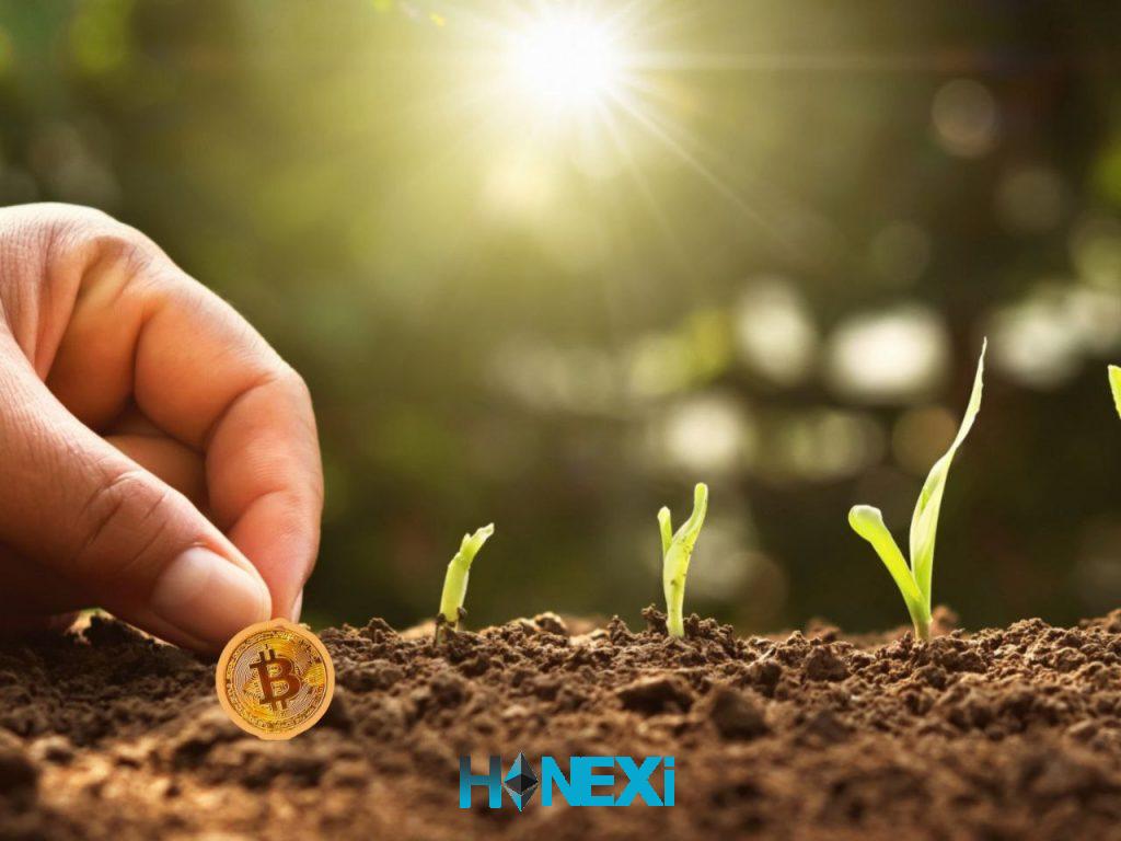 ییلد فارمینگ yield farming