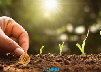 ییلد فارمینگ yield farming