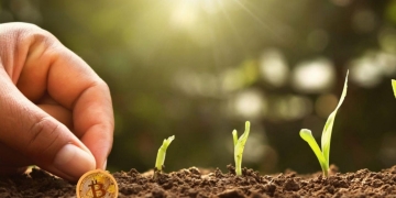 ییلد فارمینگ yield farming