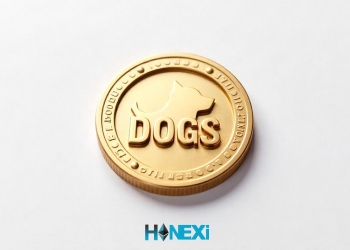 معرفی ارز دیجیتال DOGS: توکنی با الهام از فرهنگ میم‌ها